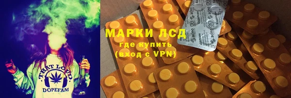 стаф Аркадак