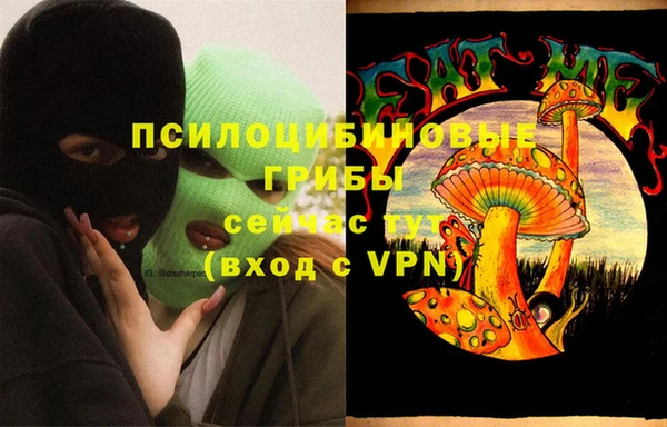 стаф Аркадак