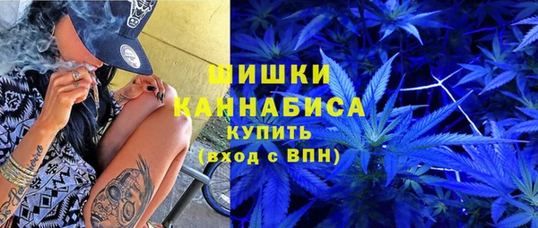 стаф Аркадак