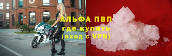стаф Аркадак