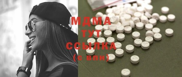 стаф Аркадак