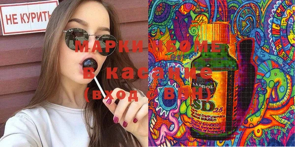 стаф Аркадак