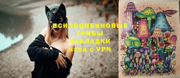 стаф Аркадак