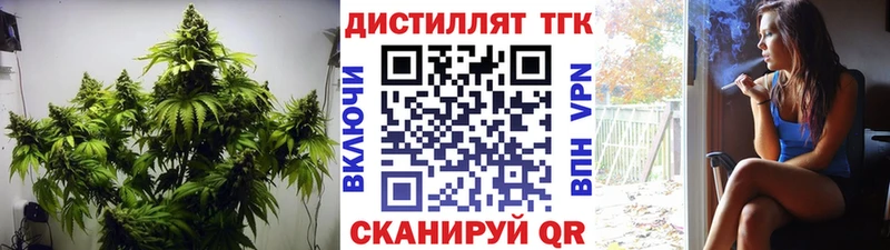 Купить закладки  Правдинск  ТГК Wax 